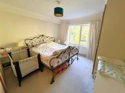 Apartment Main Photo