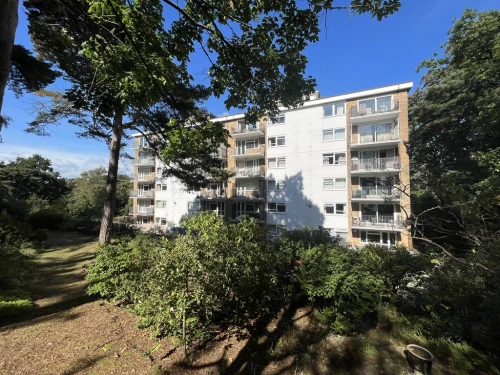 Apartment Main Photo