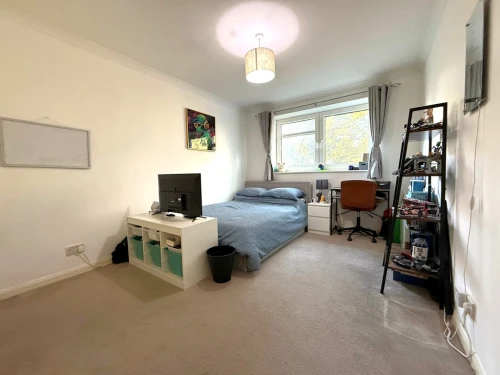 Apartment Main Photo