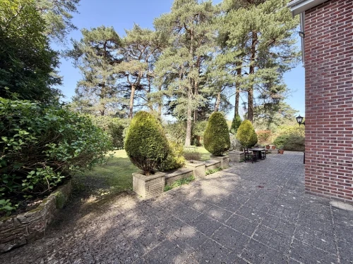 Detached House Main Photo