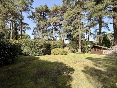 Detached House Main Photo
