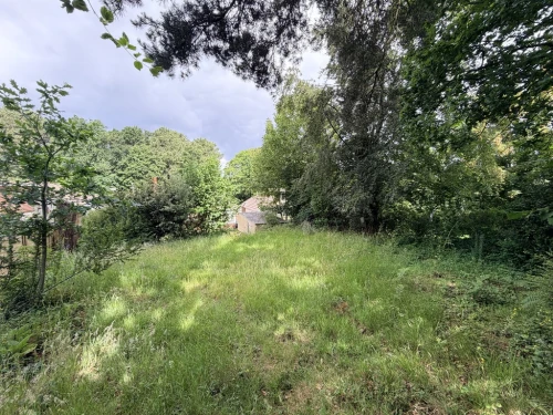 Detached Bungalow Main Photo