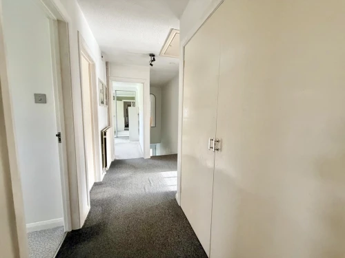 Apartment Main Photo